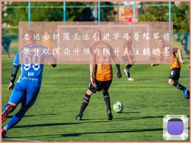 名记分析若无法引进字母哥绿军将聚焦双探花升级内线并关注鹈鹕墨菲