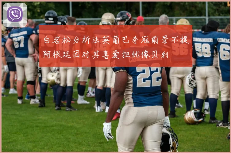 白岩松分析法英葡巴夺冠前景不提阿根廷因对其喜爱担忧像贝利
