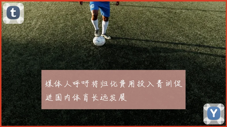媒体人呼吁将归化费用投入青训促进国内体育长远发展