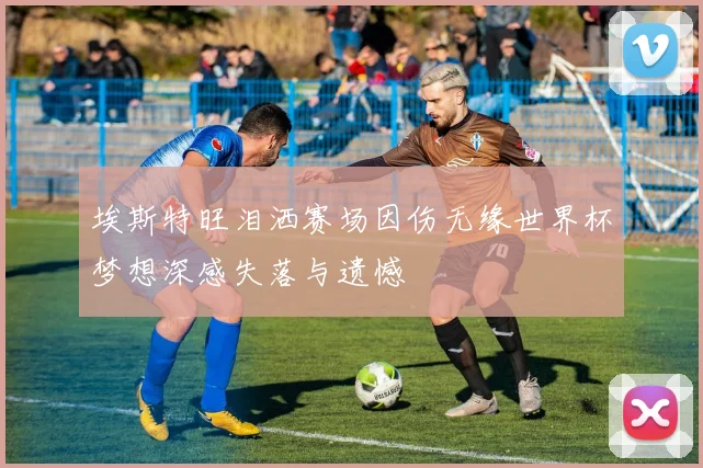 埃斯特旺泪洒赛场因伤无缘世界杯梦想深感失落与遗憾